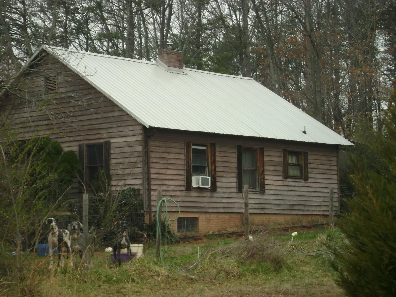 White metal roof on an old wood sided farmhouse, from a Metal Roof Installation job in Boulder